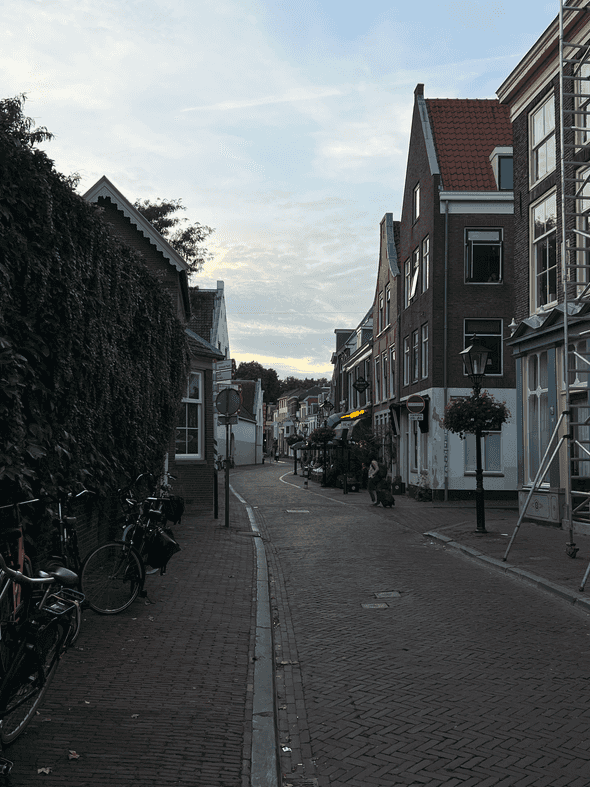 A cobblestone street in Utrecht, Netherlands at dusk.